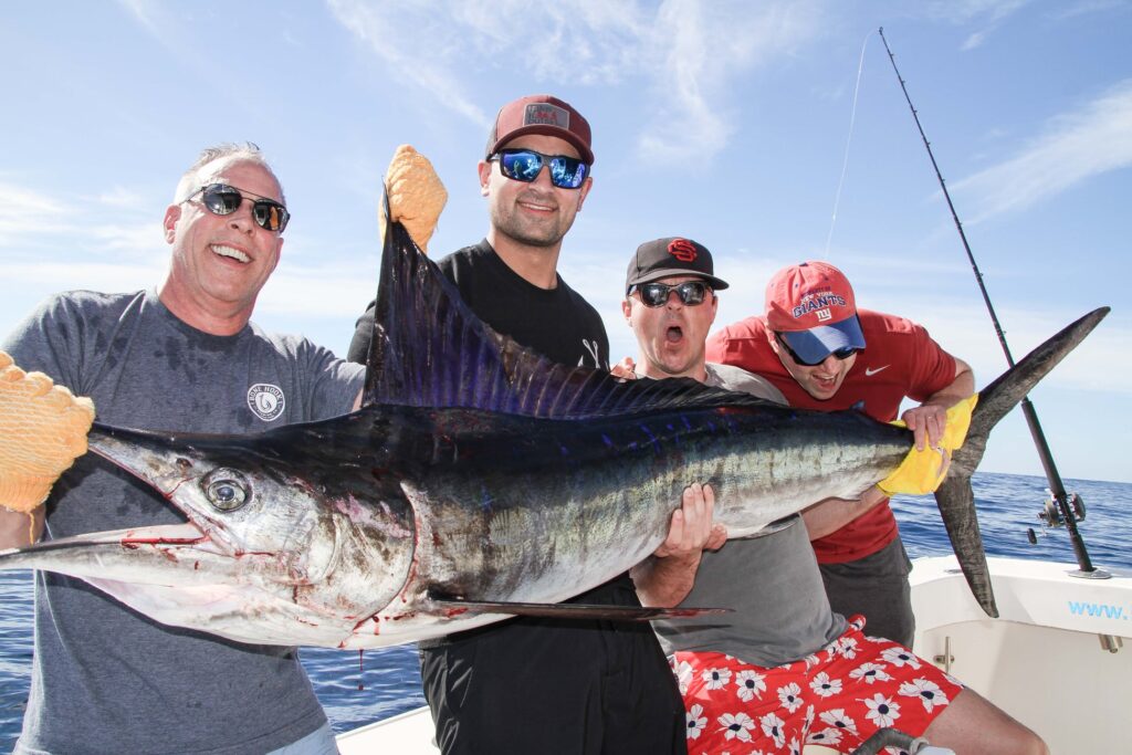 Striped Marlin Fishing in Cabo