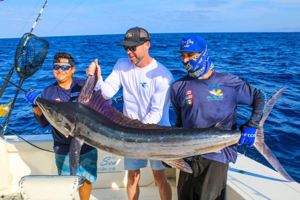 Cabo Marlin Fishing