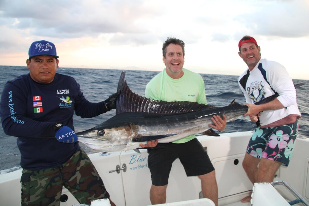 Cabo San Lucas Marlin Fishing