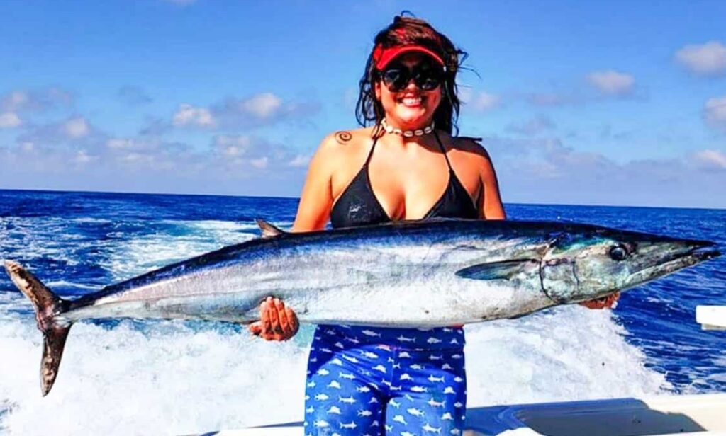 Wahoo Fishing in Baja California