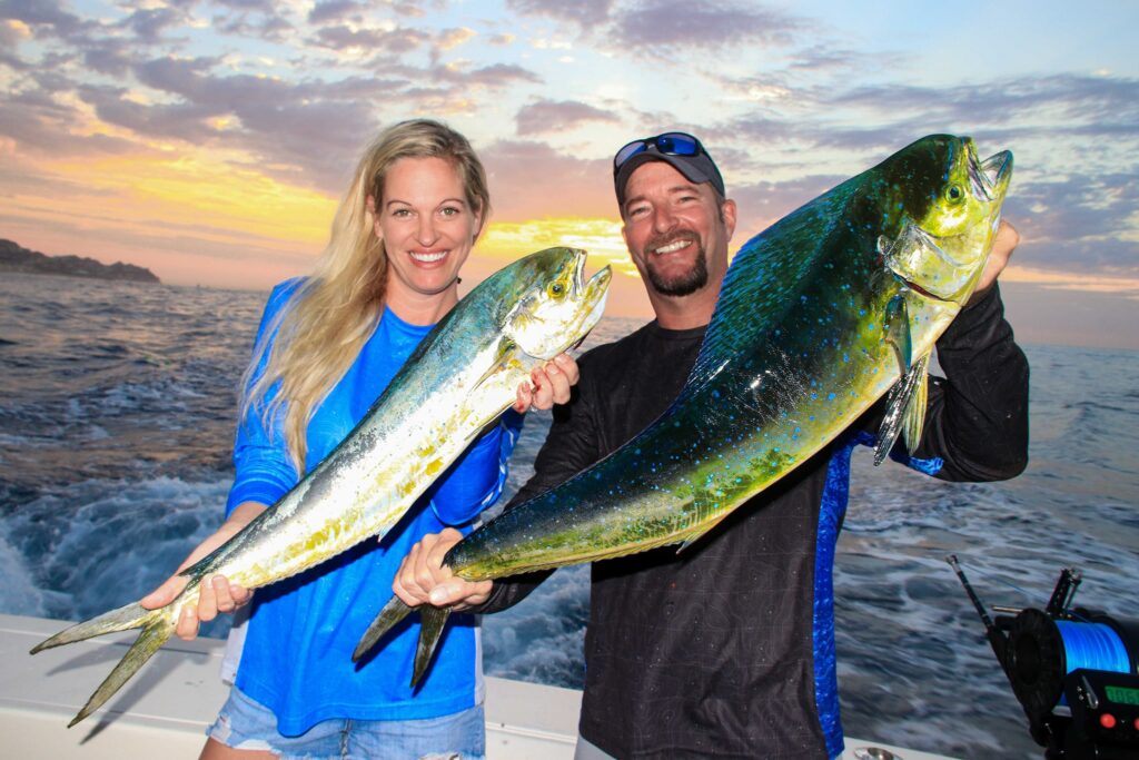 Dorado Fishing in Cabo San Lucas