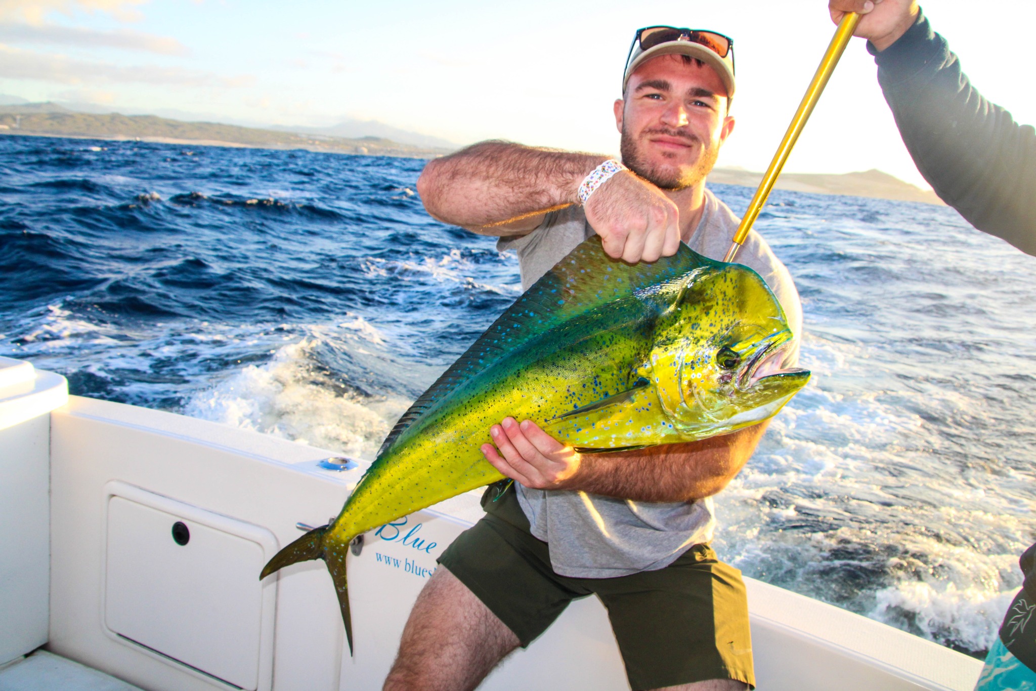 Sportfishing in Cabo San Lucas for Dorado
