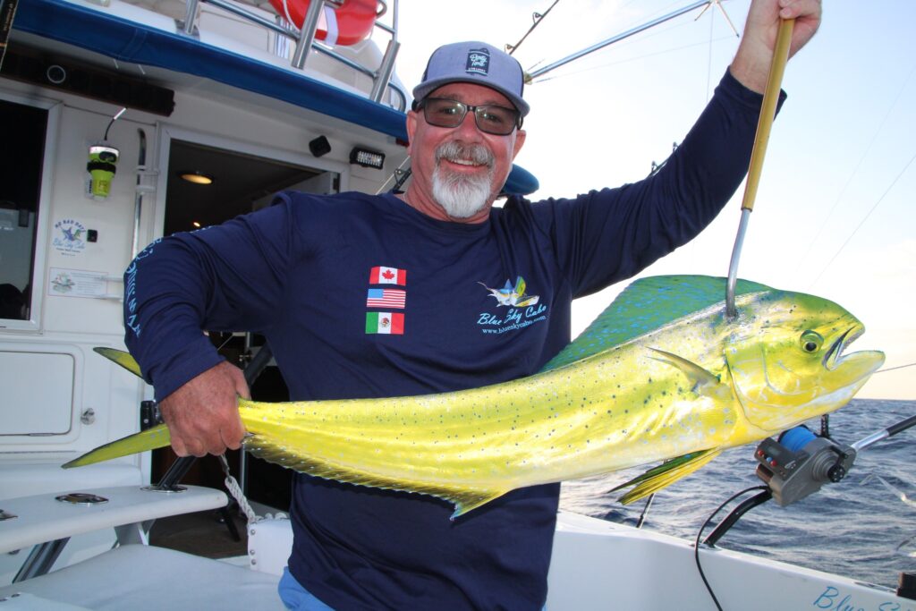 Catching Dorado in Cabo