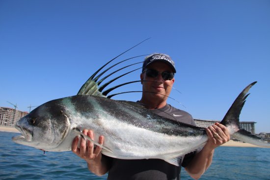 Rooster Fishing in Los Cabos