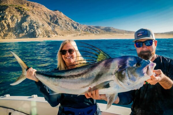 Cabo Rooster Fishing Season