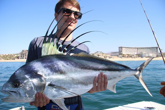 Cabo Rooster Fishing