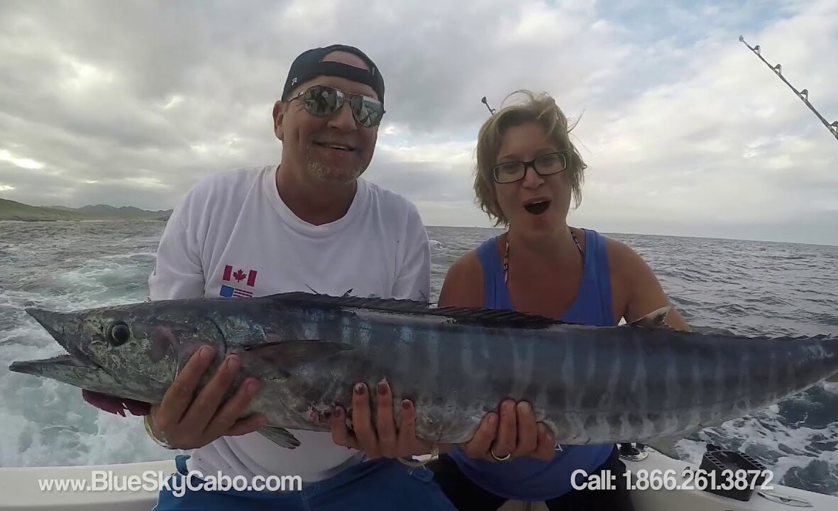 Cabo Wahoo Fishing Charters