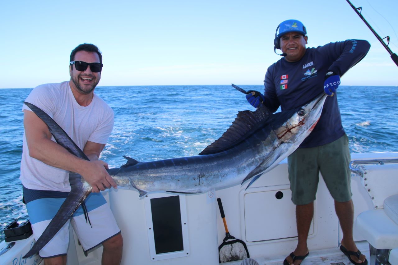 What is the Best Time of Year to Marlin Fish in Cabo