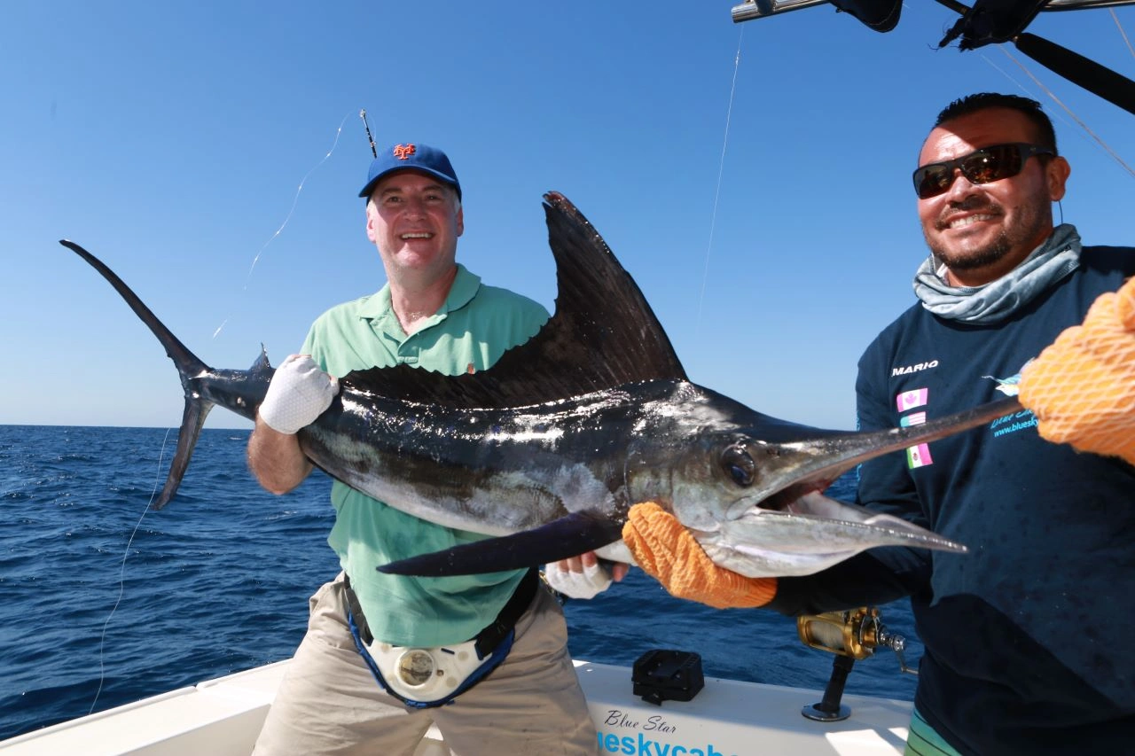 Black Marlin Fishing Charters Cabo San Lucas