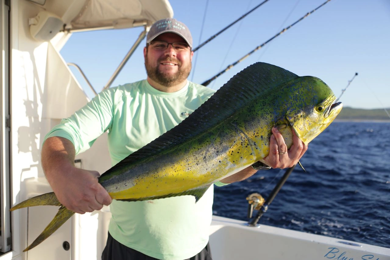 Mahi Mahi Fishing Charters Cabo San Lucas