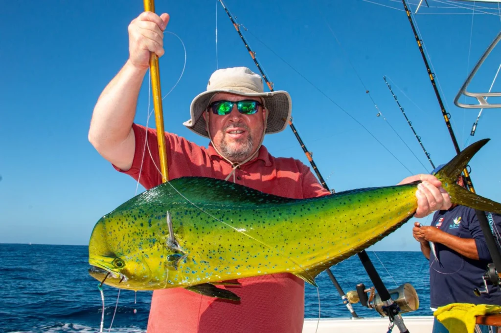 Mahi Mahi Fishing Charters Cabo San Lucas
