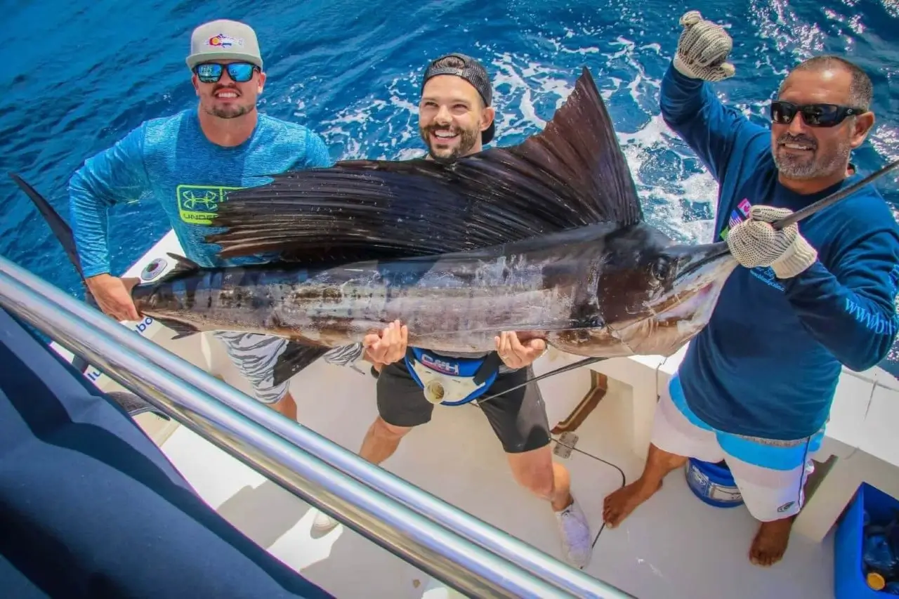 Sailfish Fishing Charters Cabo San Lucas