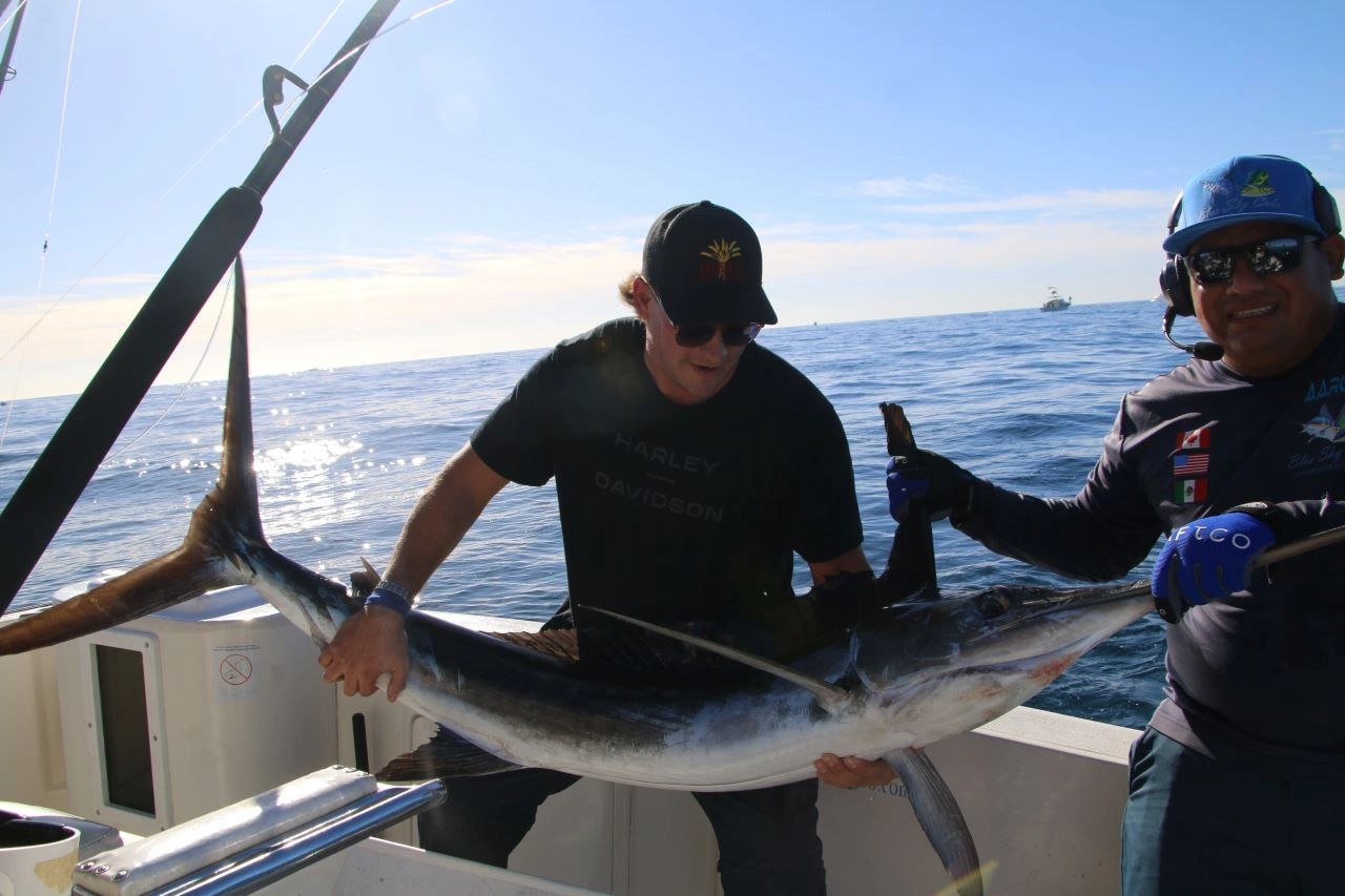 Striped Marlin Fishing Charters Cabo San Lucas