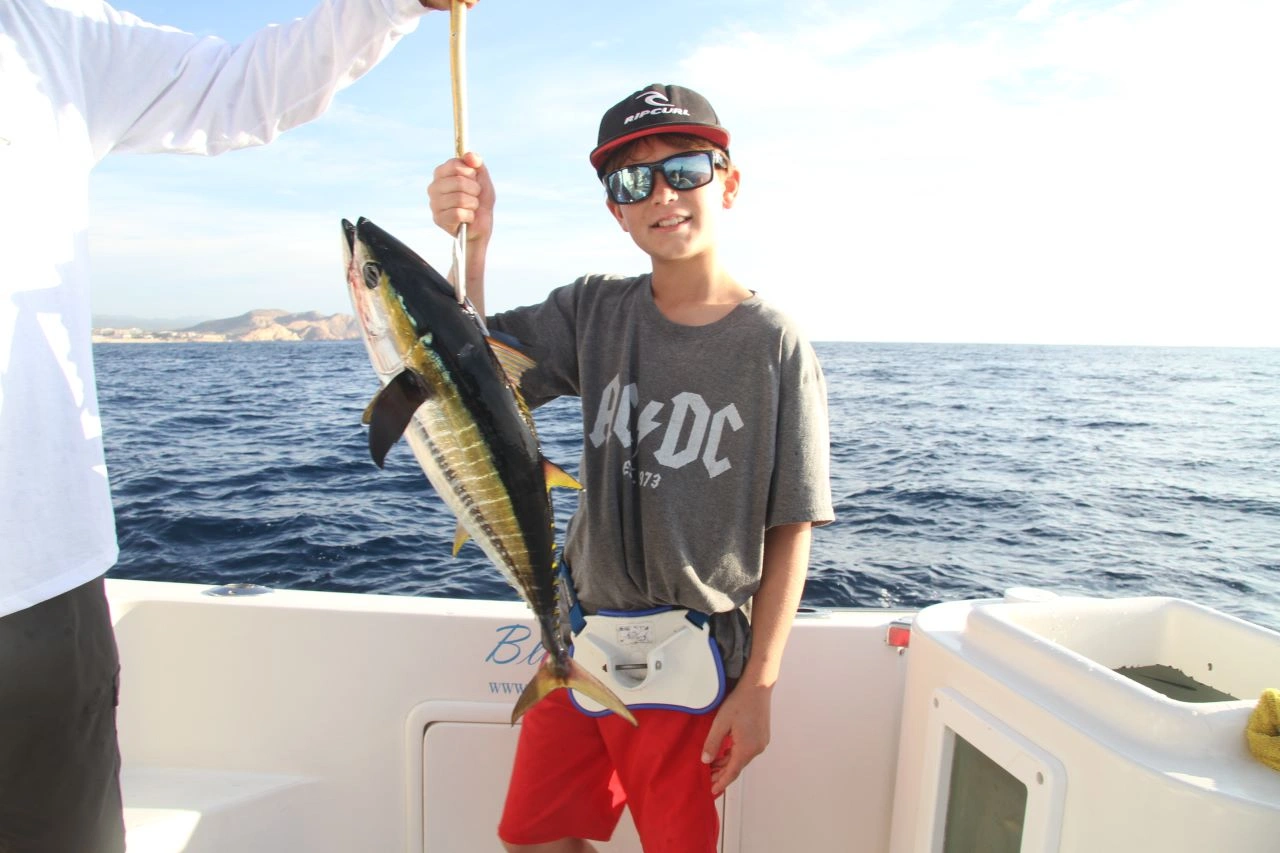 Yellowfin Tuna Fishing Charters Cabo San Lucas