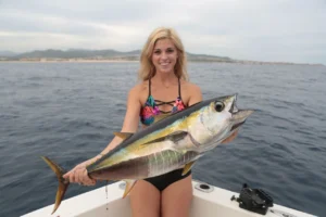 Yellowfin Tuna Fishing Charters Cabo San Lucas