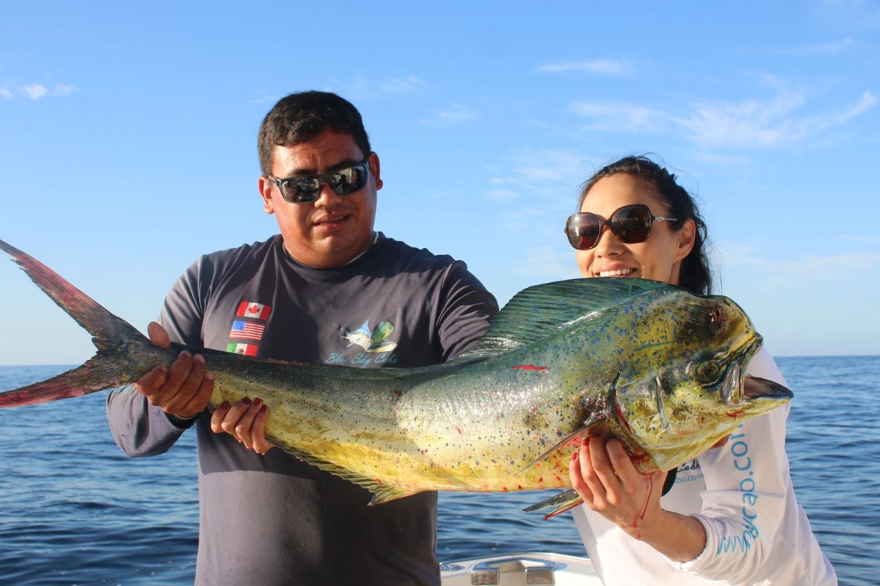 Cabo Fishing Crew Half Day Options