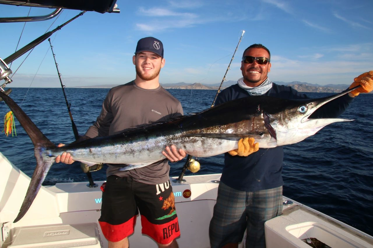 Los Cabos Deep Sea Fishing