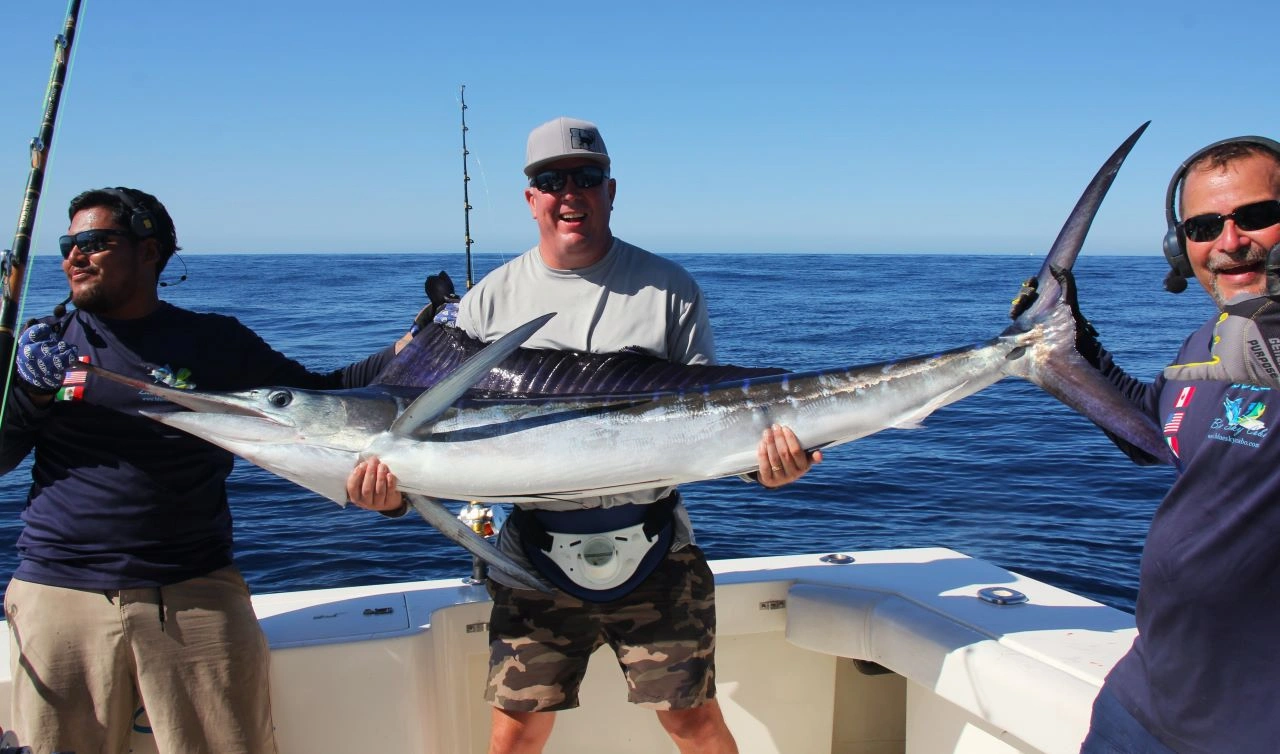 Los Cabos Fishing In September