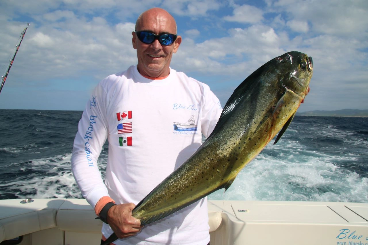 Los Cabos Fishing Tours