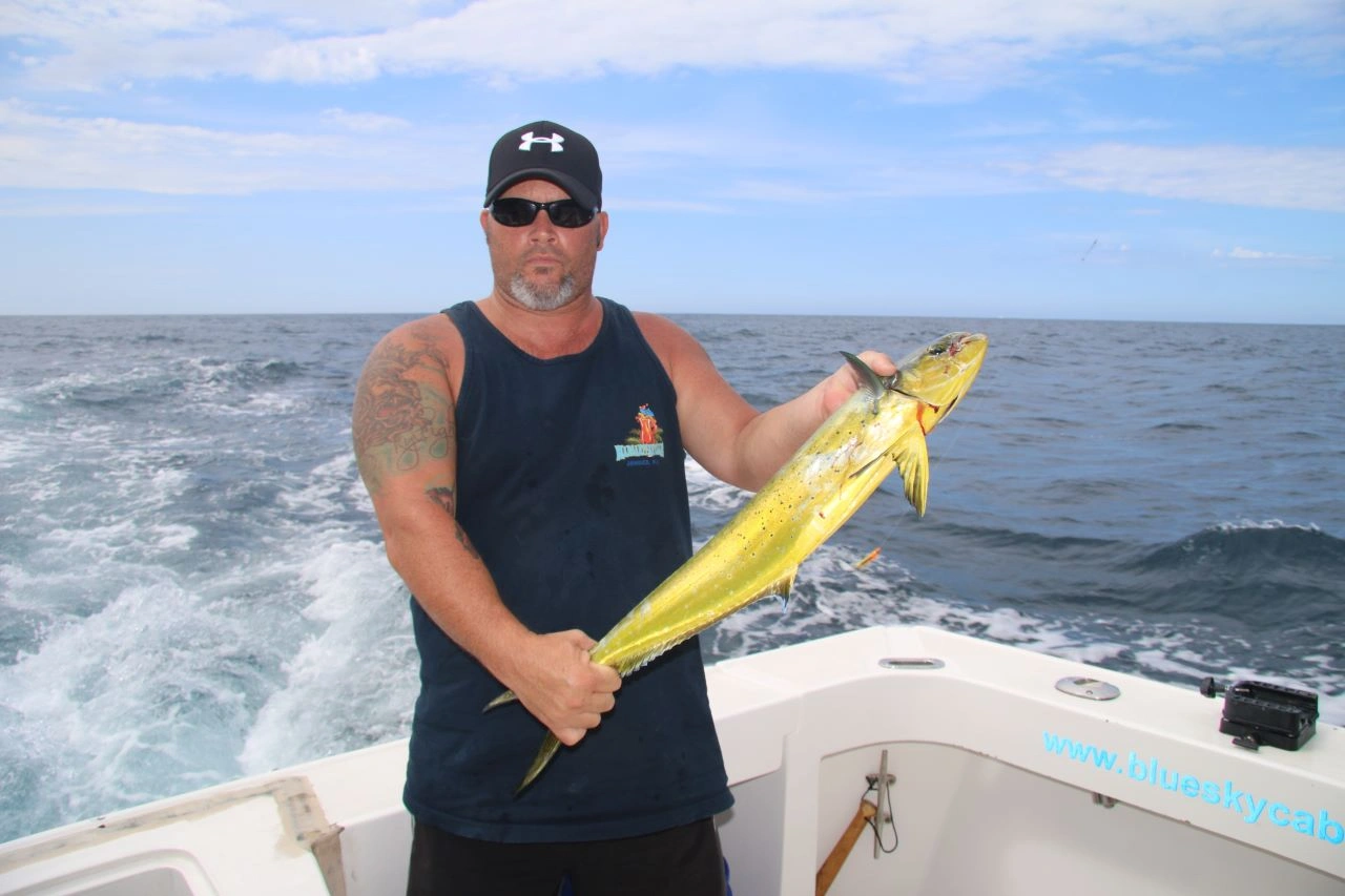 Dorado Fishing Season Los Cabos