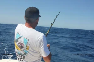 Fishing Los Cabos in February