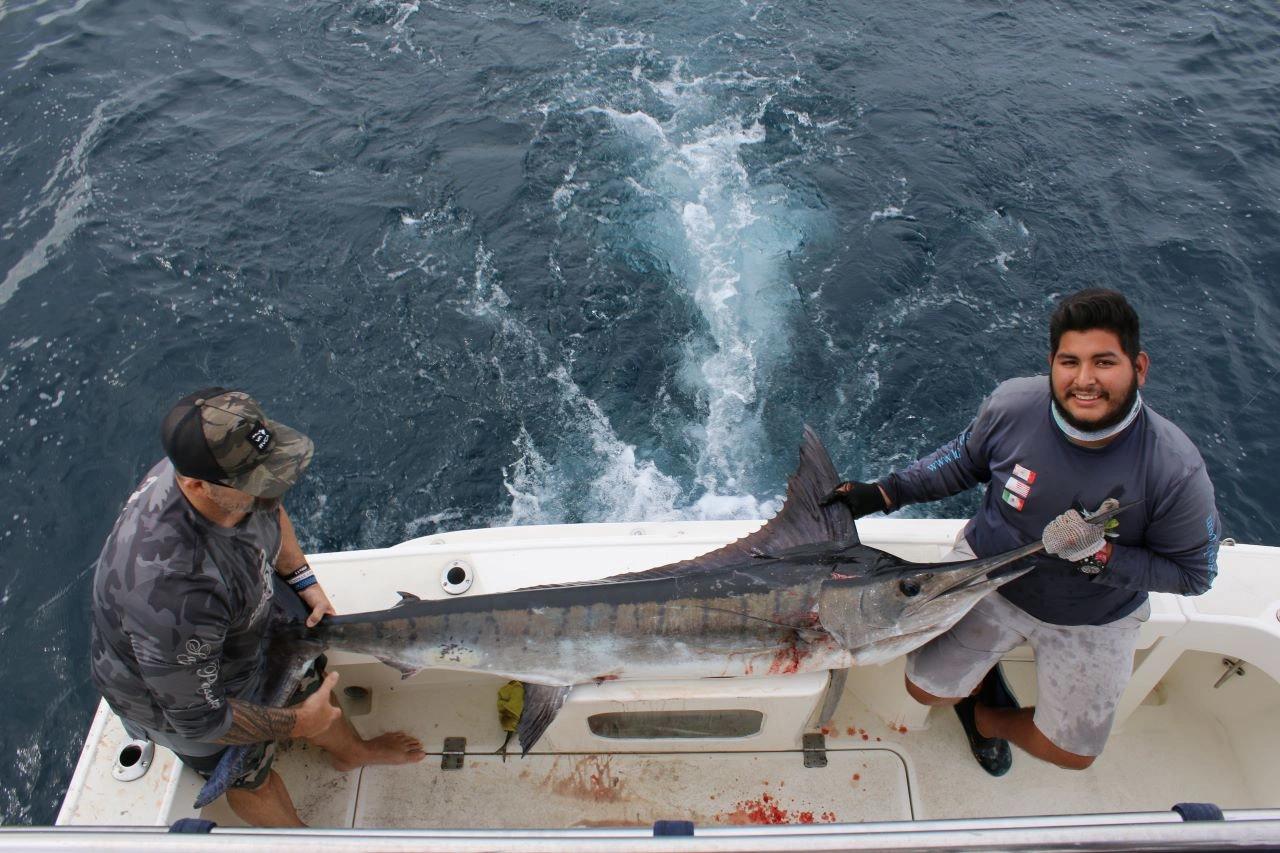 Los Cabos Big Game Fishing