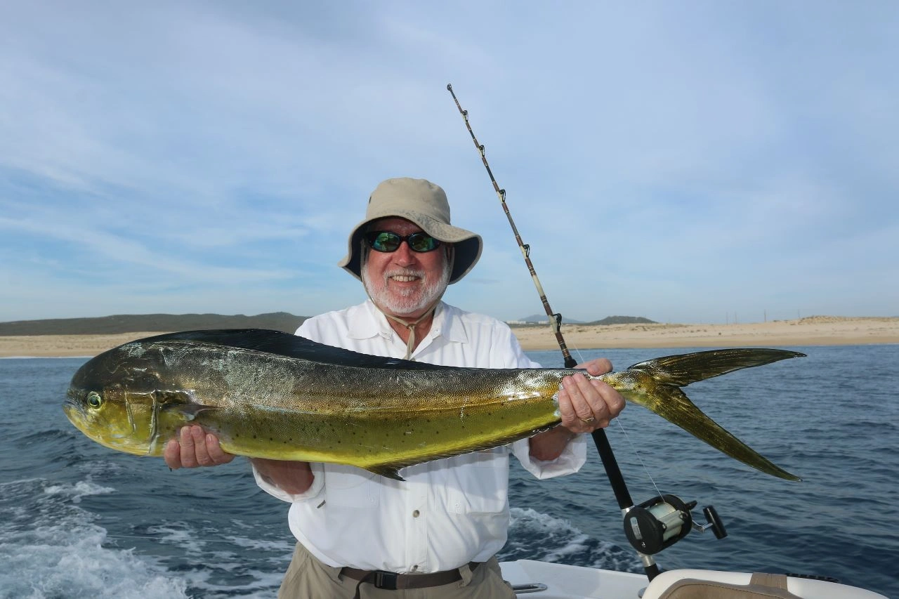 Los Cabos Dorado Fishing