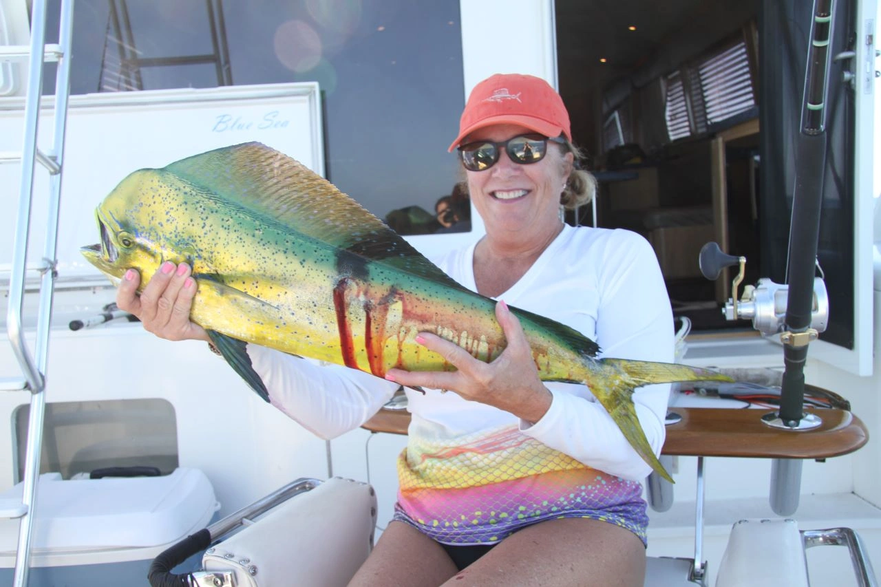 Los Cabos Mahi Mahi Fishing