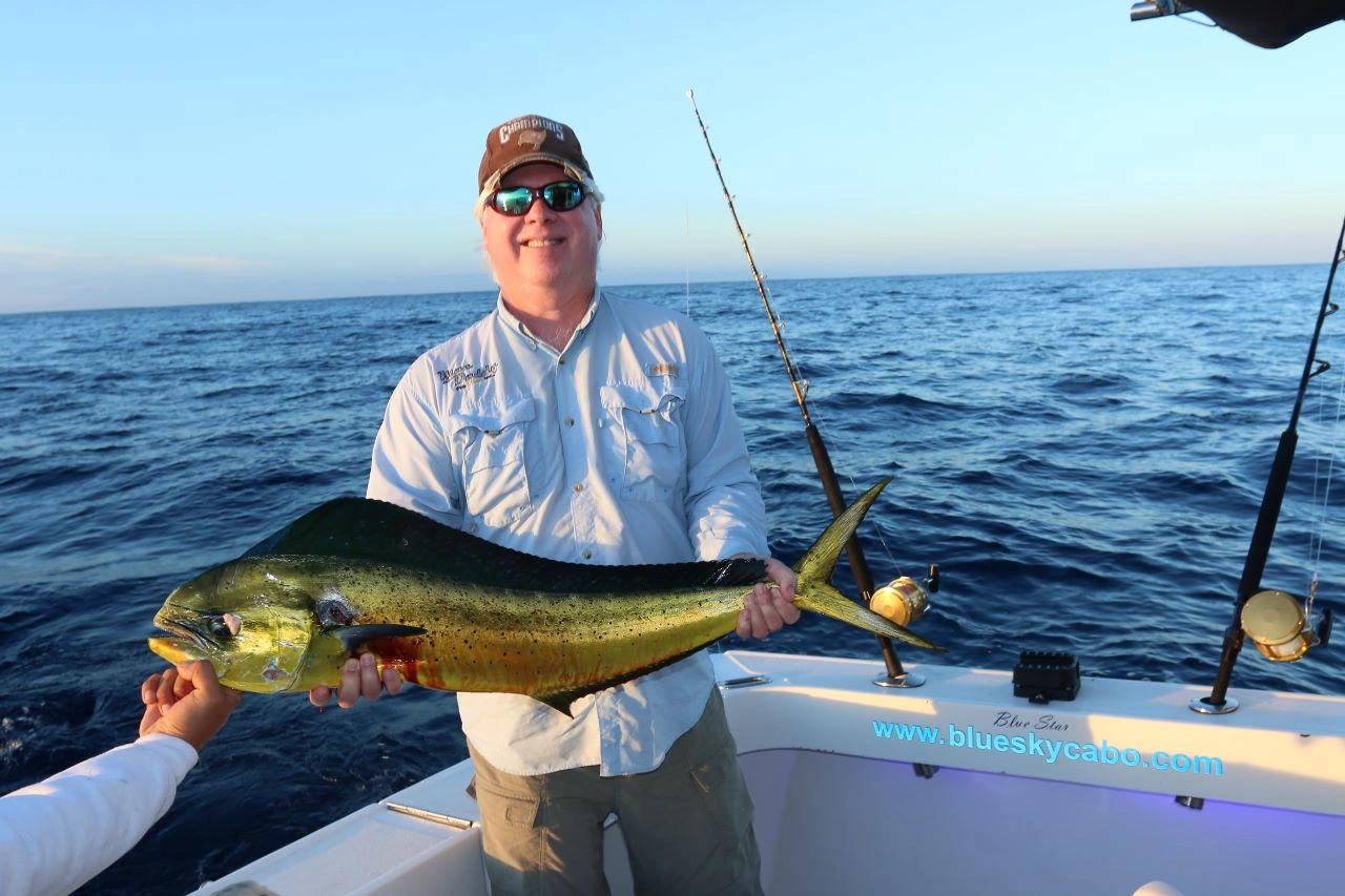 Los Cabos Mahi Mahi Fishing