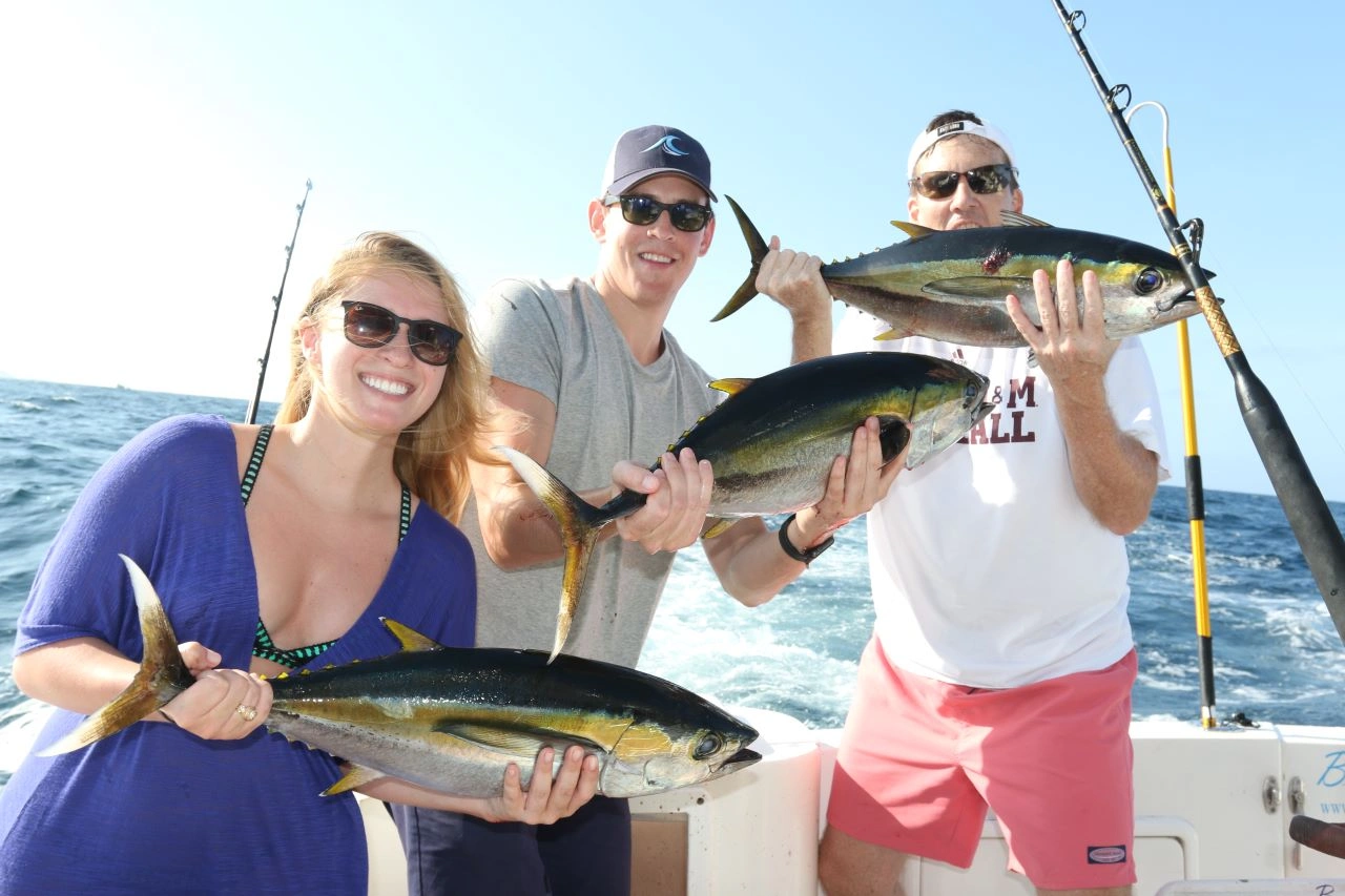 Yellowfin Tuna Fishing Los Cabos