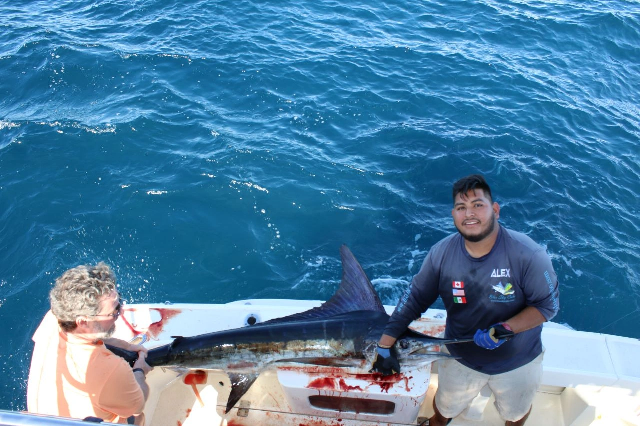 How Far Offshore Do You Have to Go to Catch Marlin in Cabo