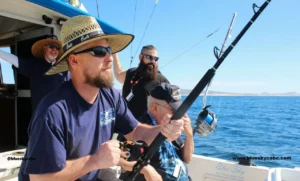What Are the Main Fishing Seasons in Cabo