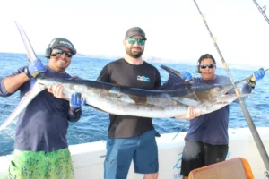 What Fish Are Biting Right Now in Cabo