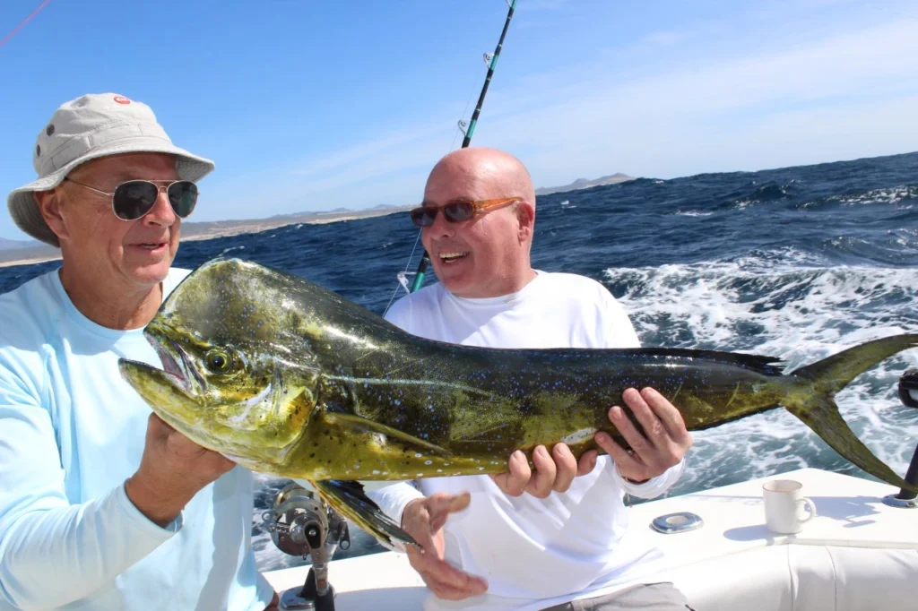 What Month Is Best for Marlin Fishing in Cabo? Your Complete Guide