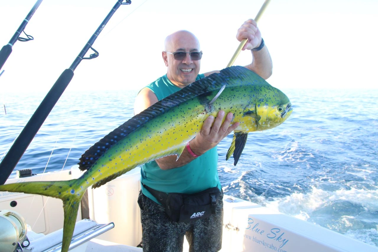 Do the Best Cabo Fishing Charter Boats Offer Shade and Comfort on Hot Days