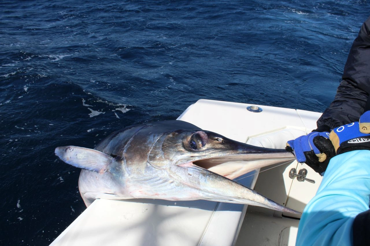 How Do I Know I Booked the Best Cabo Fishing Charter and Not an Average One