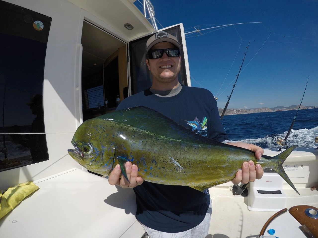 What Species Can I Catch on the Best Cabo Fishing Charter Trips