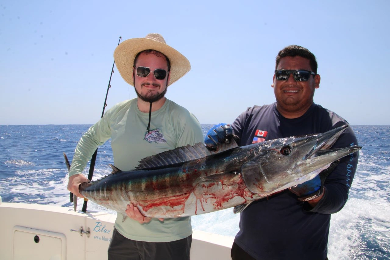 What’s the Best Way to Compare Prices for the Best Cabo Fishing Charter Experiences