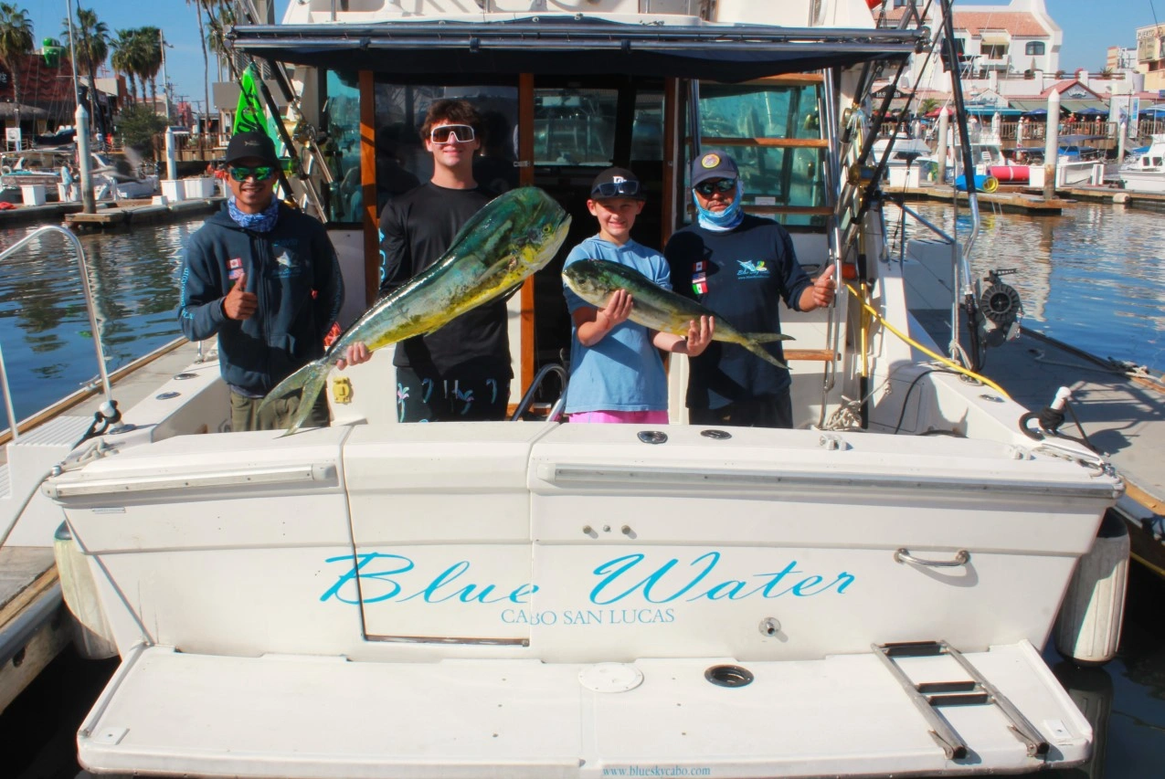 Cabo Dorado Fishing Charter