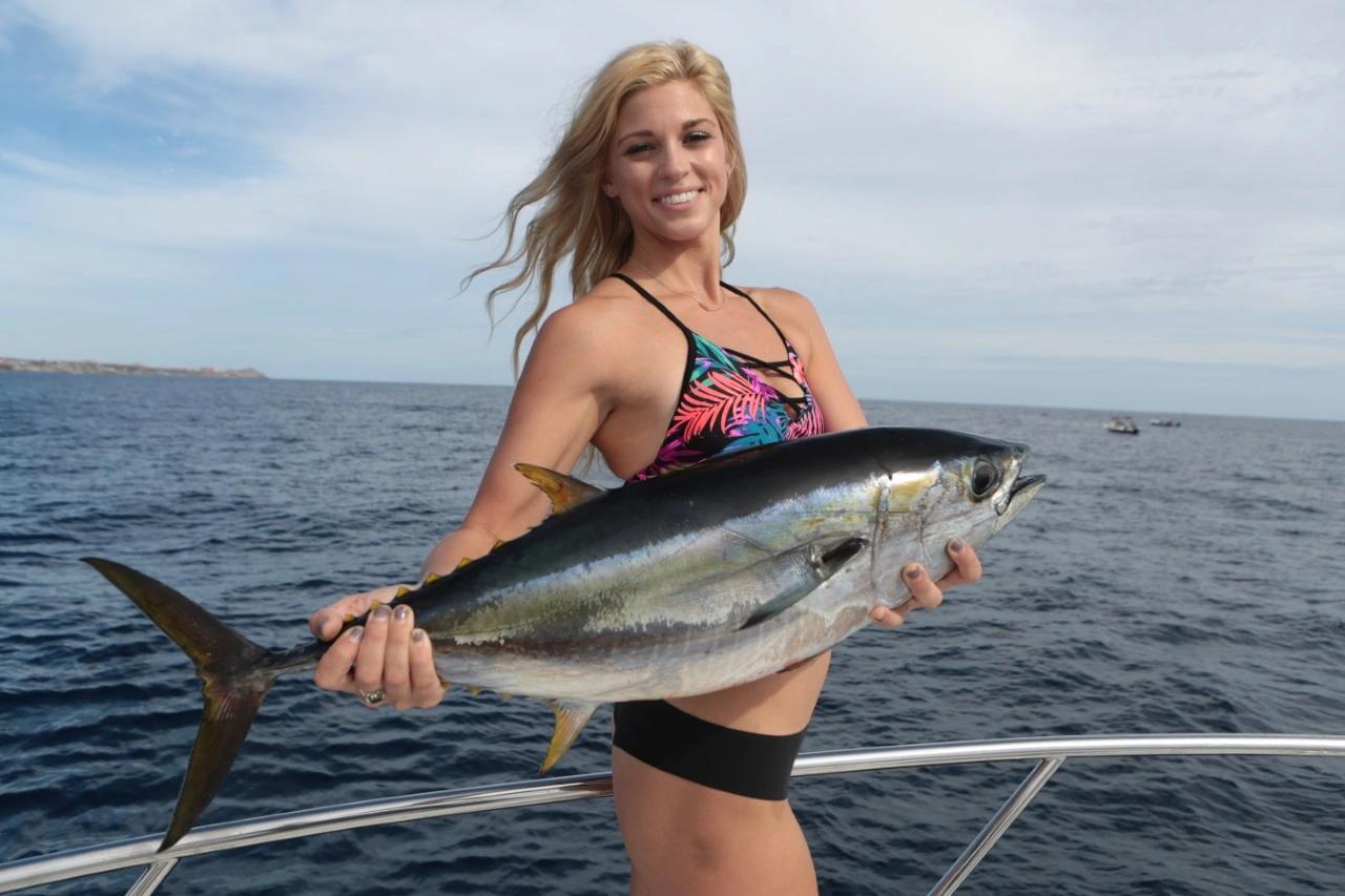 Cabo Tuna Fishing Charter