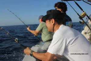 Top Rated Cabo Fishing Charter